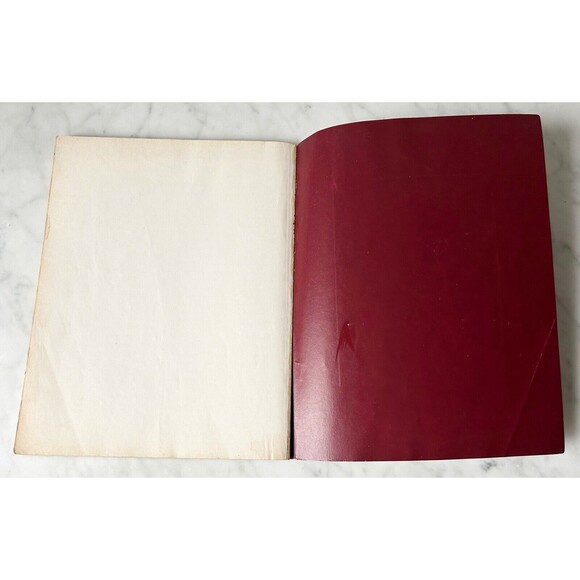 Advanced Dungeons & Dragons The Complete Fighter's Handbook AD & D 2nd Ed 2110 - Picture 12 of 13